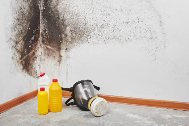 Best Water Damage Restoration  in Purcell, OK