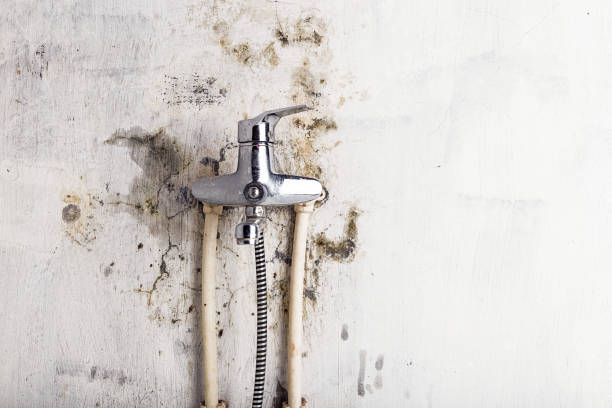 Best Toxic Mold Removal  in Purcell, OK