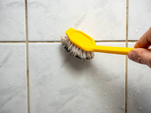 Best Toxic Mold Removal  in Purcell, OK