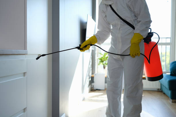 Best Attic Mold Removal  in Purcell, OK