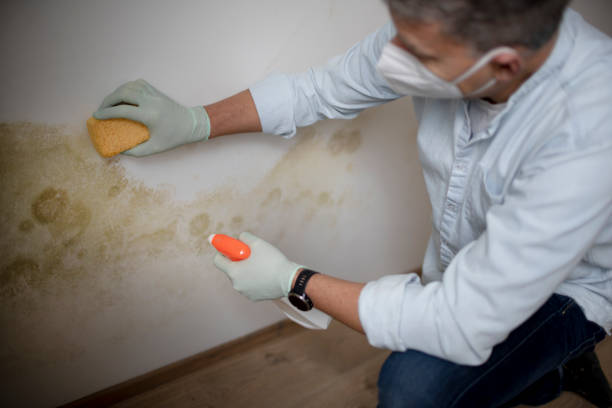 Best Crawl Space Mold Removal  in Purcell, OK