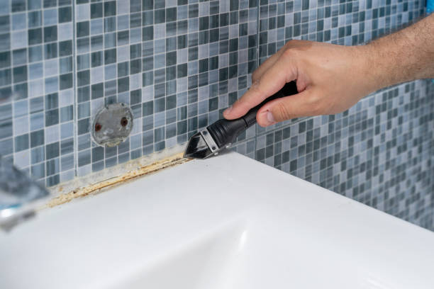 Best Office Mold Removal Services  in Purcell, OK