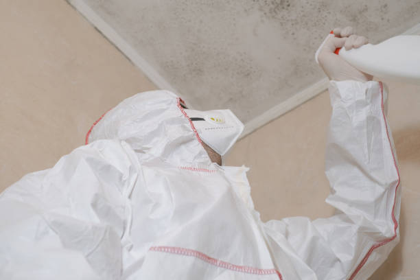 Best Mold Testing  in Purcell, OK